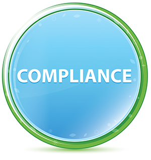 Compliance Icon